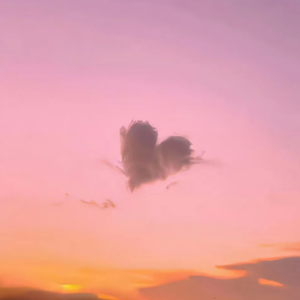 十四岁女儿小娟的小说叫什么名字
