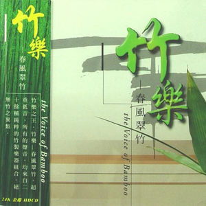 十四岁女儿小娟的小说叫什么名字
